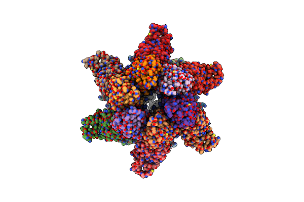 8XAV image