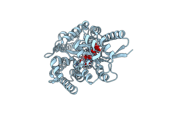 8XBA image