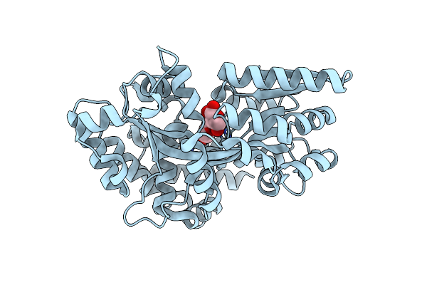 8XBB image