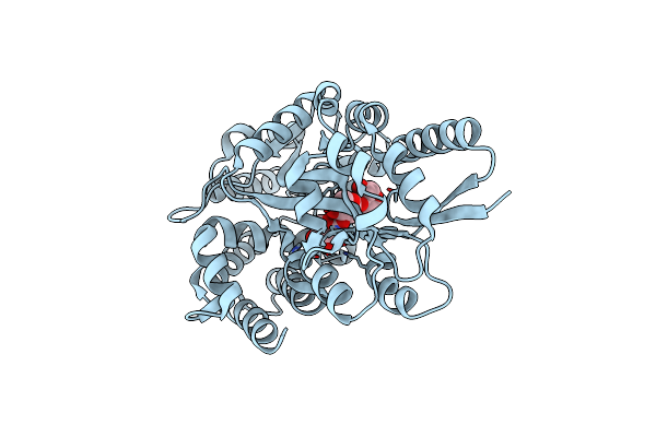 8XBC image