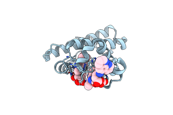 8XBJ image