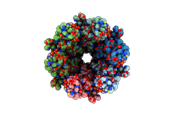 8XBM image