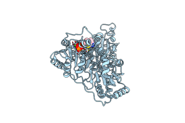 8XBO image