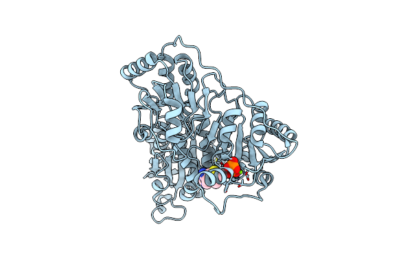 8XBR image
