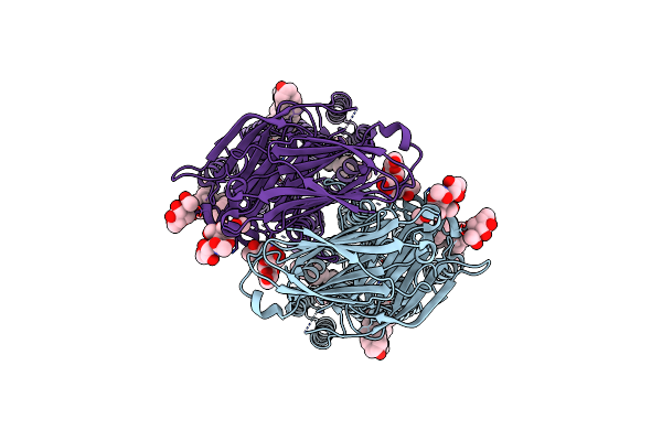 8XBS image