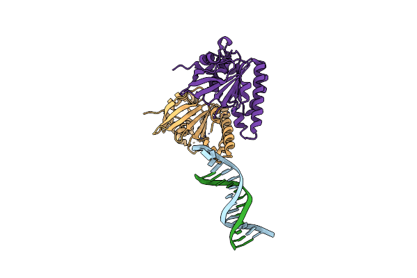 8XBV image