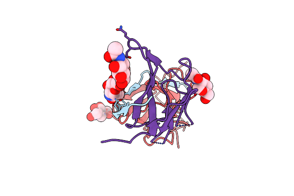 8XC5 image