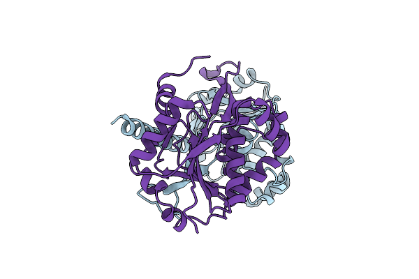 8XC8 image