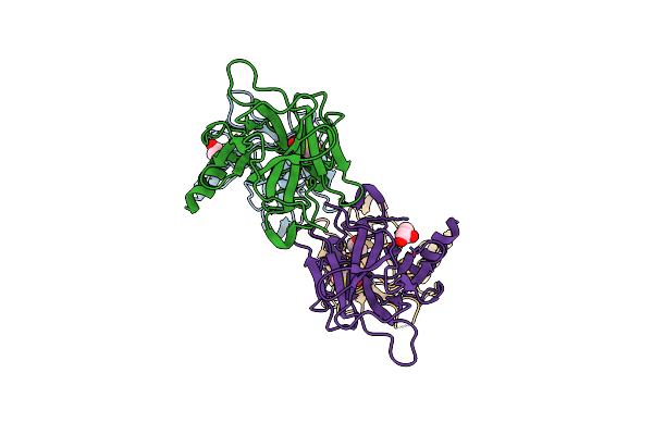 8XCB image
