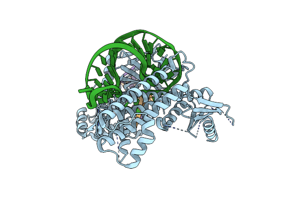 8XCC image
