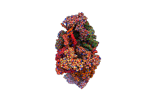 8XCH image