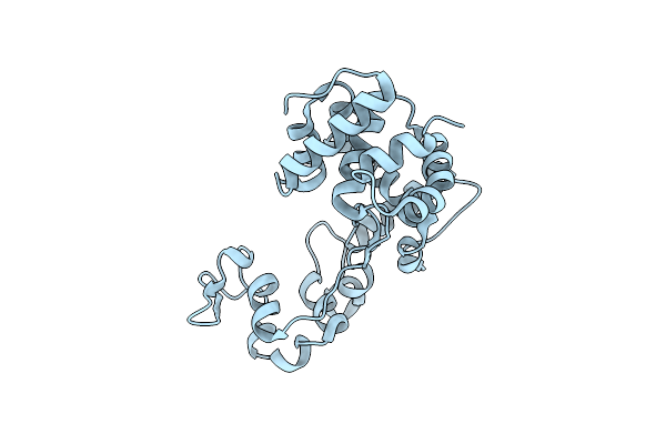8XCL image