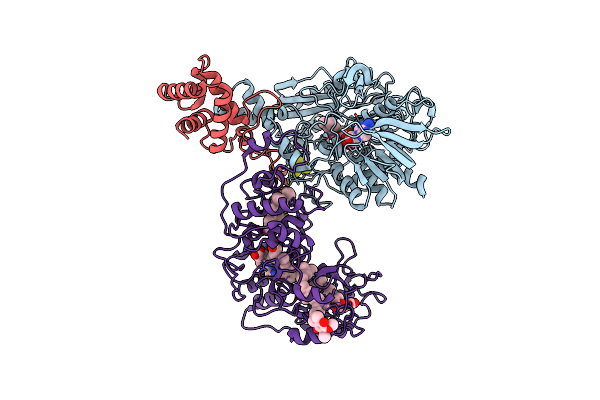 8XCN image