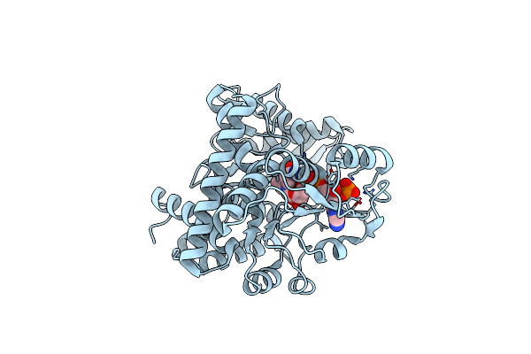 8XCO image