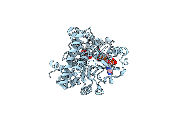 8XCP image