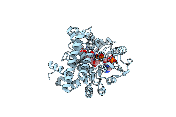 8XCS image