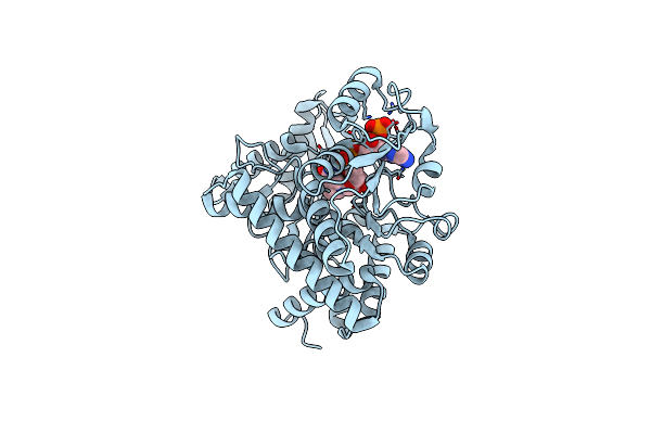 8XCT image