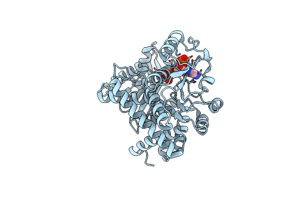 8XCV image