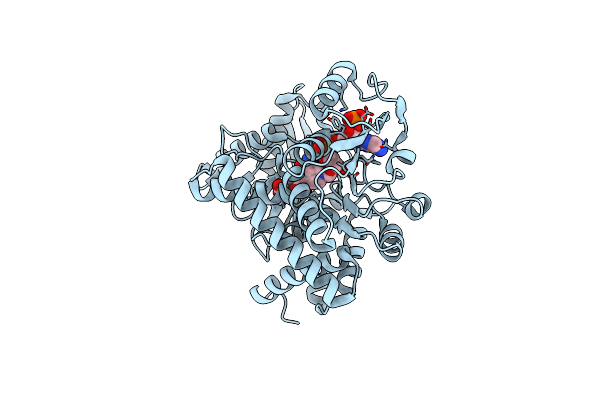 8XD0 image