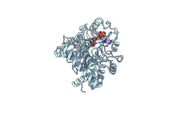 8XD1 image