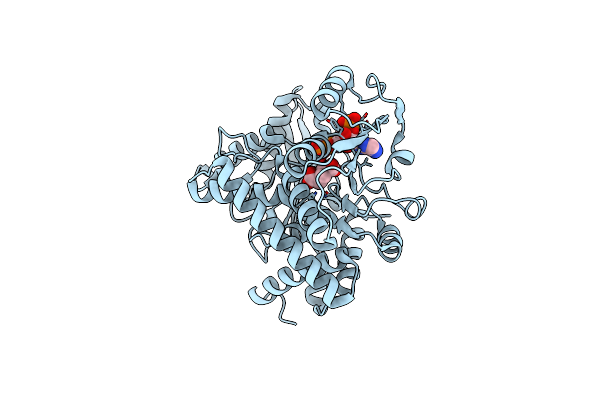 8XD2 image