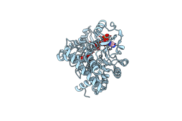 8XD3 image