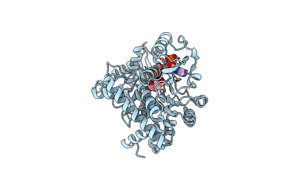 8XD4 image