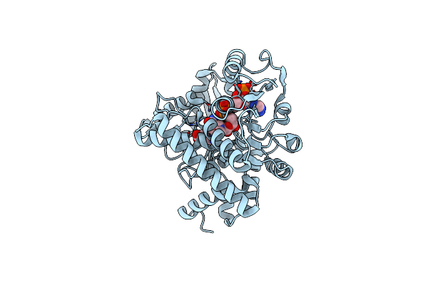 8XD5 image