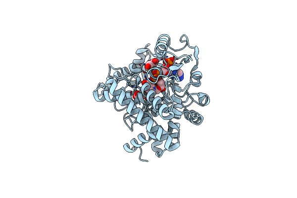 8XD6 image