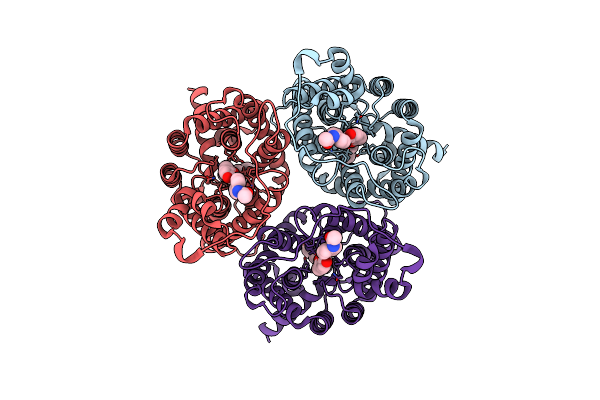 8XD7 image