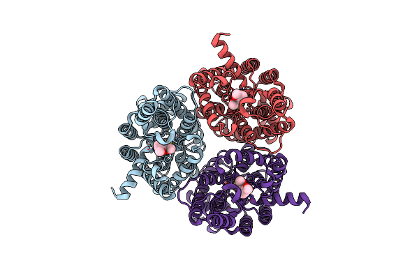 8XDB image