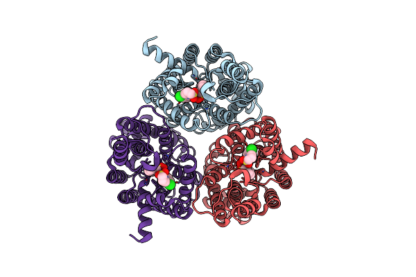 8XDC image