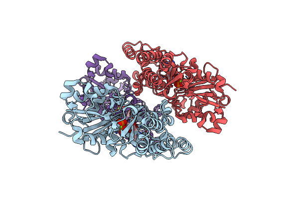 8XDL image