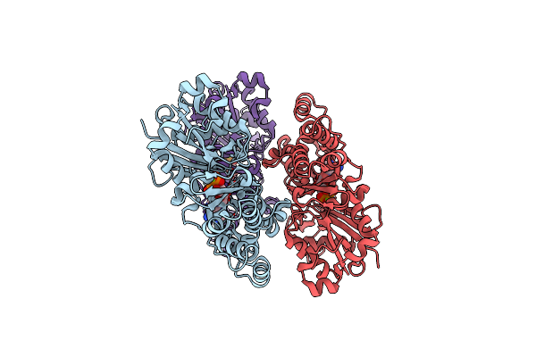 8XDM image