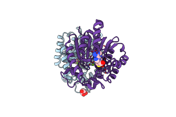 8XDS image