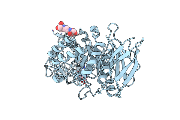 8XDX image