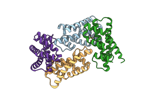 8XEM image