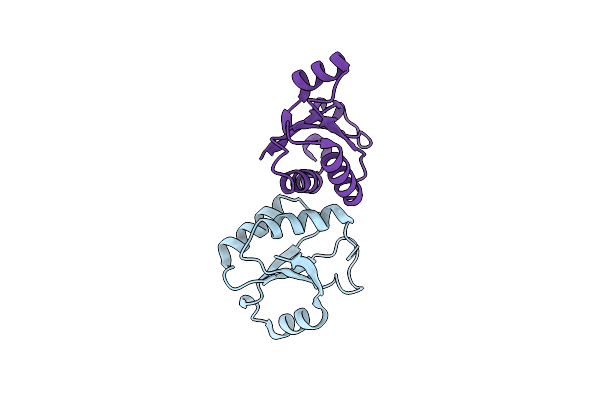 8XEO image