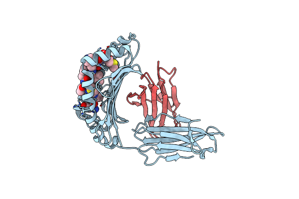 8XES image