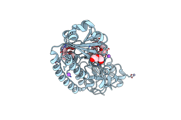 8XET image