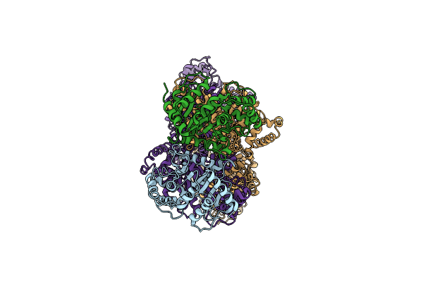 8XEW image
