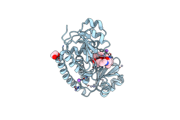 8XF7 image
