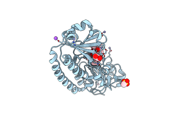 8XF8 image