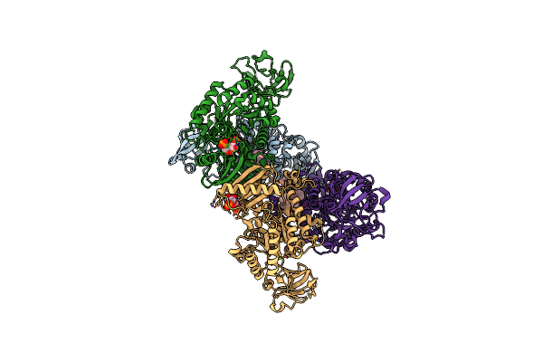8XFD image