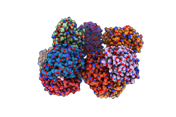 8XFV image