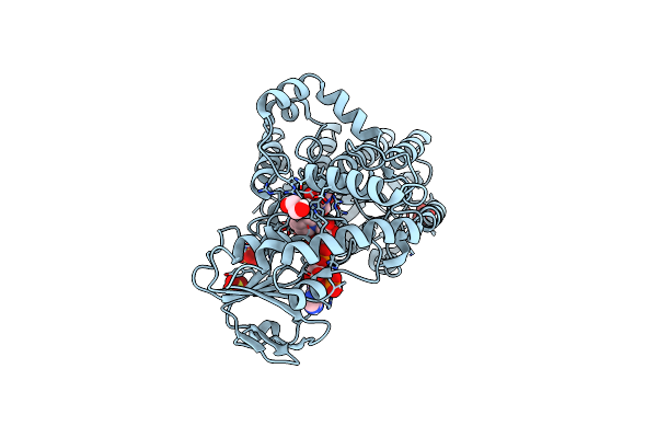 8XG8 image