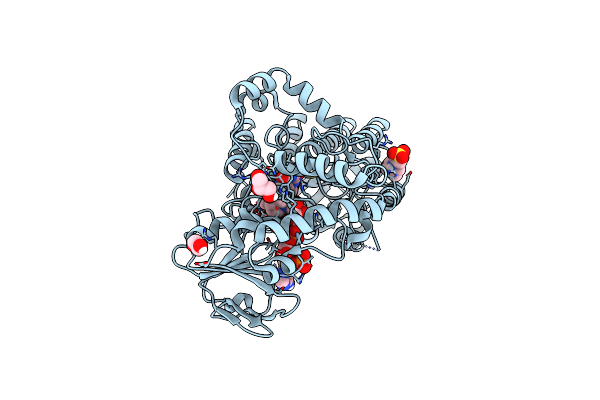 8XG9 image