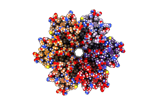 8XGD image