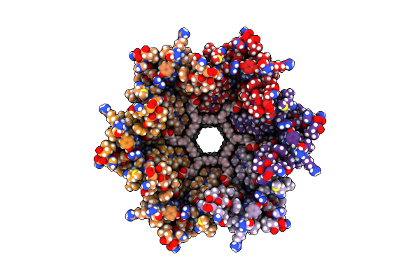 8XGF image