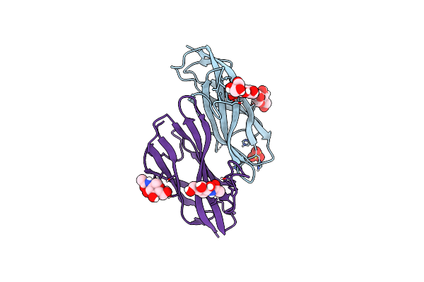 8XGL image